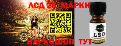 индика Гудермес