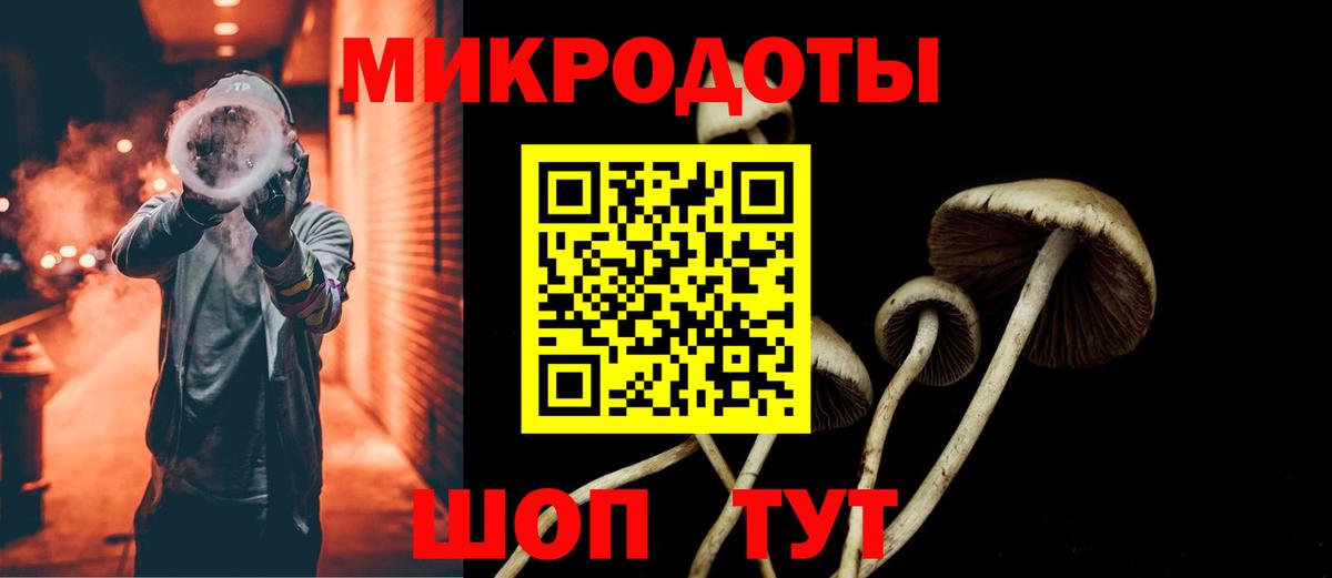 Галлюциногенные грибы Cubensis Якутск